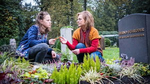 Nachrichten aus dem Jenseits