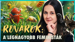 ŐK az IGAZI HÁTTÉRHATALOM