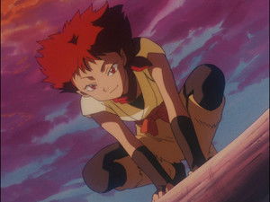 The Plot of the Panther Devas