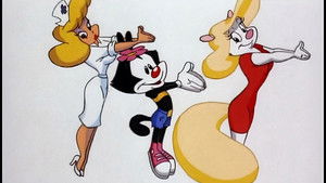 Dot - The Macadamia Nut