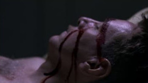 Behind the Picket Fence