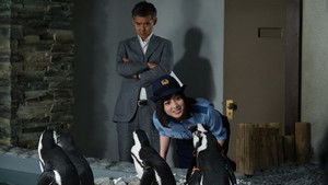 If Penguins Could Talk