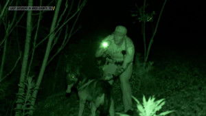 After Hours Intruder