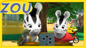 Zou And The Mystery Box