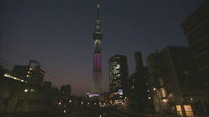 One Tower, Many Lives