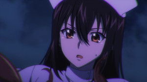 Fiesta for the Observers IV