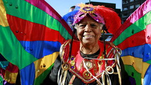 Butterflies: A Very British Obsession