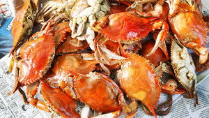 ‎End-of-Summer Celebration