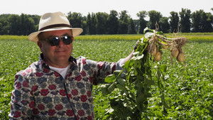 Poland – The Order of Greater Poland