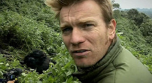 Khartoum, Sudan to Shashemene, Ethiopia