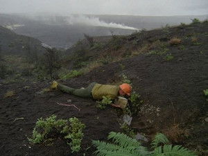 A Hawaiian Nightmare