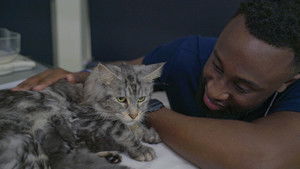 Not So Standard Poodles, Pups, and Personalities