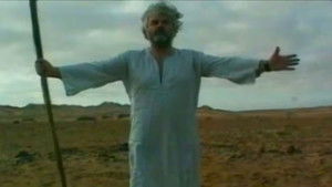 Alla ricerca del libro di Toth