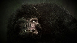 Ancient Sounds and Moon Mounds