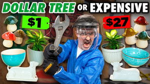 How Durable Are Dollar Store Products?