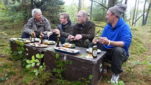 En kortnæbbet gås i Thy