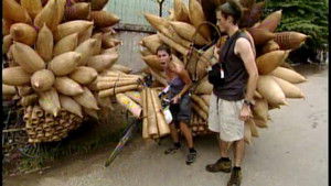 They're Slithering to the Finish Line Like the Rest of Us!