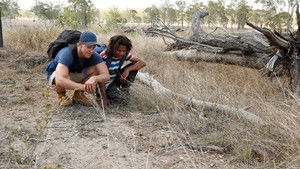 Hairy-Nosed Wombats