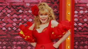 Welcome to the DollHouse