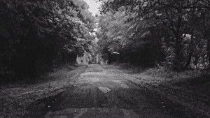 Murder on the Gulf Coast