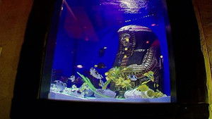 Groovy Sarcophagus, Man