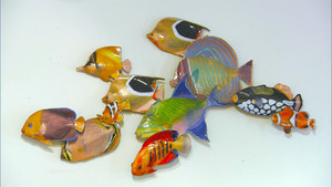 Motorcycle Engines, Glass Enamel Sculptures, Hand-Made Paper, Vaulting Poles