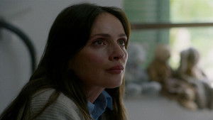 Suspect in the House