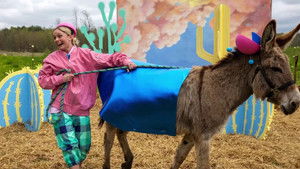 Cheer Up Buttercup You're With a Donkey