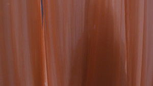 Neelu Plans to Ruin The Event