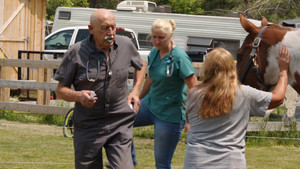 I've Never Met Herbivore