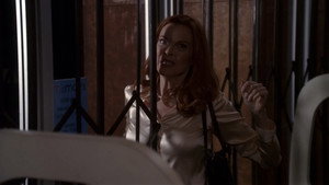 Could I Leave You?