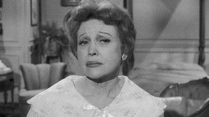 The Case of the Loquacious Liar