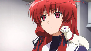 Small Bonds Eris's Gift