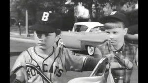 Moochie of the Little League: A Diamond Is a Boy's Best Friend