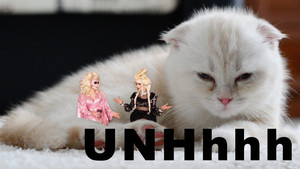 Astrology Part 1: Katya's Taurus Truth