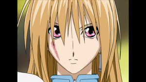 Phantom and the Zodiac Knights