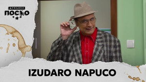 2231 Izudaro napuco