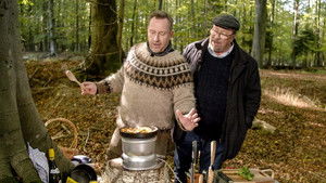 Hvad finder jeg i skoven