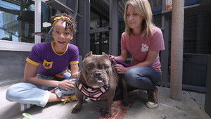 Meekah's Awesome Animal Adventure