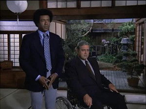 No Motive for Murder