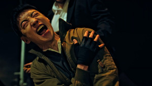 The Rainbow Transport Team In Danger