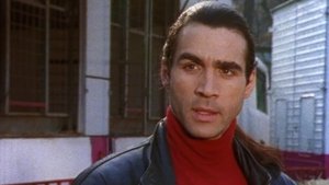 The Lady and the Tiger