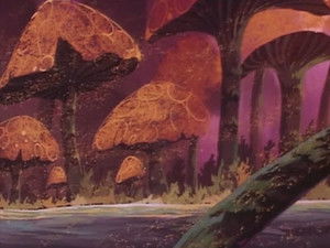 Phantoms of Life and Death