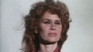 Confessions of a Lady Cop