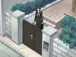 Yellow Rose Weather Advisory