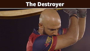 The Destroyer