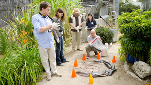 A Horse of a Different Color