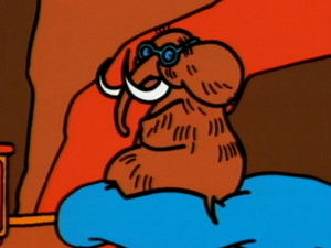 In India con il tappeto volante