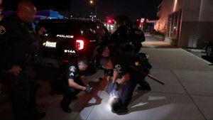 Reckless Driver Investigation