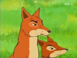 Adventure For The Birds